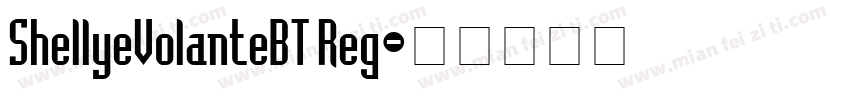 ShellyeVolanteBT Reg字体转换